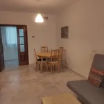 Rent 1 bedroom apartment of 80 m² in  Mairena del Aljarafe