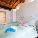 Rent 1 bedroom apartment in Florence