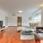 Rent 4 bedroom apartment of 218 m² in Zagreb