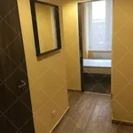 Rent 1 bedroom apartment of 20 m² in Budapest