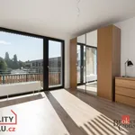 Rent 2 bedroom apartment of 55 m² in Pilsen