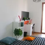 Rent a room in turin