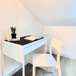 Alugar 6 quarto apartamento em Coimbra