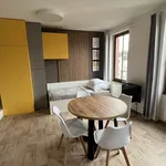 Rent 1 bedroom apartment of 35 m² in Brno