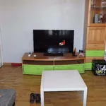 Rent 2 bedroom apartment of 47 m² in Lille