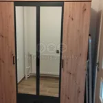 Rent 1 bedroom apartment of 45 m² in Hradec Králové