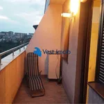 Rent 1 bedroom house of 40 m² in Bucuresti