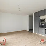 Rent 1 bedroom apartment in Plzeň