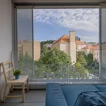 Pronajměte si 1 ložnic/e byt o rozloze 24 m² v Prague