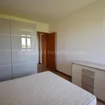 Rent 2 bedroom apartment of 71 m² in Bologna