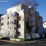 Rent 1 bedroom apartment of 30 m² in Dresden