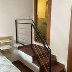 Rent 2 bedroom apartment of 50 m² in Palermo