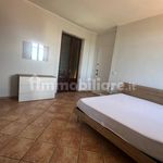 Rent 3 bedroom apartment of 65 m² in Biella