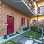 Rent 2 bedroom apartment of 55 m² in Torino