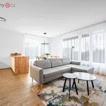 Rent 3 bedroom apartment of 77 m² in Praha