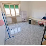 Rent 3 bedroom apartment of 70 m² in Livorno