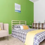 Rent a room in padua