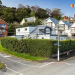 Rent 1 bedroom apartment in Dunedin