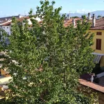 Rent 1 bedroom apartment of 40 m² in Prato