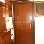 Rent 4 bedroom apartment of 100 m² in Pavia