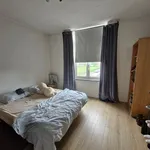 Rent 1 bedroom apartment in Namur