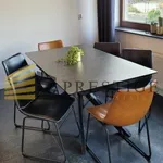 Rent 4 bedroom apartment of 112 m² in Warszawa