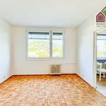 Rent 2 bedroom apartment of 67 m² in Ústí nad Labem