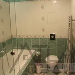 Rent 2 bedroom apartment of 80 m² in Prague