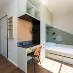 Studio of 31 m² in Berlin