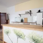 Rent 1 bedroom apartment of 66 m² in berlin