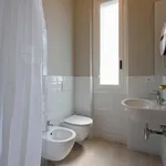 Rent 1 bedroom apartment in Florence