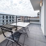 Rent a room of 63 m² in Frankfurt am Main