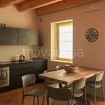 Rent 1 bedroom apartment of 40 m² in San Giovanni Lupatoto