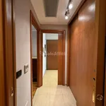 Rent 3 bedroom apartment of 80 m² in Torino