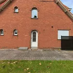 Rent 3 bedroom house of 630 m² in SCHILDE