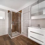 Rent 4 bedroom apartment of 75 m² in Ústí nad Orlicí