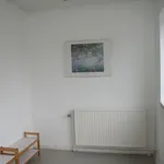 Rent 1 bedroom apartment of 18 m² in Karup