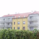 Rent 3 bedroom apartment of 80 m² in Orth an der Donau