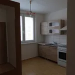 Rent 1 bedroom apartment in Bruntál