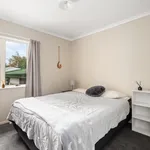 Rent 4 bedroom house in Tauranga