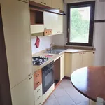 Rent 2 bedroom apartment of 60 m² in Gorgonzola