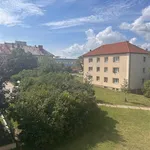 Rent 4 bedroom apartment of 71 m² in Trhový Štěpánov