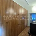 Rent 3 bedroom apartment of 90 m² in Torino