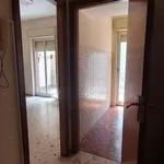 Rent 3 bedroom apartment of 100 m² in Catania