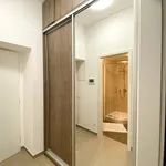 Rent 1 bedroom apartment in Praha 2