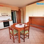 Rent 1 bedroom apartment of 30 m² in Novara