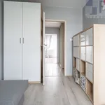 Rent 3 bedroom apartment of 56 m² in Łódź