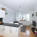 Rent 3 bedroom apartment of 57 m² in Jihlava