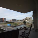 Rent 4 bedroom apartment in Delft