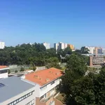 Rent a room of 140 m² in porto